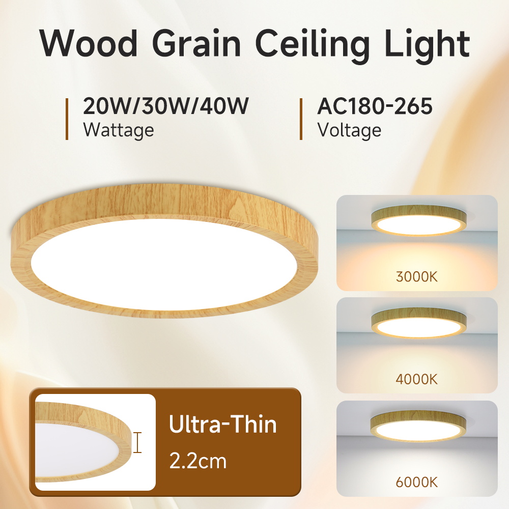超薄型LEDシーリングライト 220V 寝室用ランプ LED - Light Switch のレビューと価格